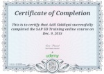Certificate Of Completion – SD